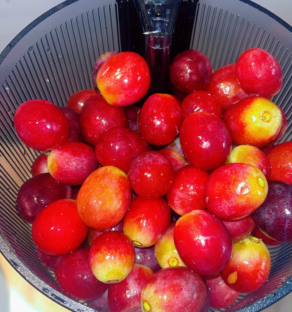 Fresh fruit going into the cold press